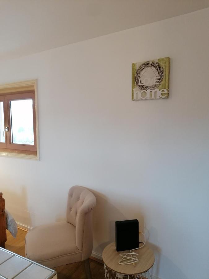 Studio Avec Balcon Au Pied Du Rocher D'Aiguilhe Daire Le Puy-en-Velay Dış mekan fotoğraf